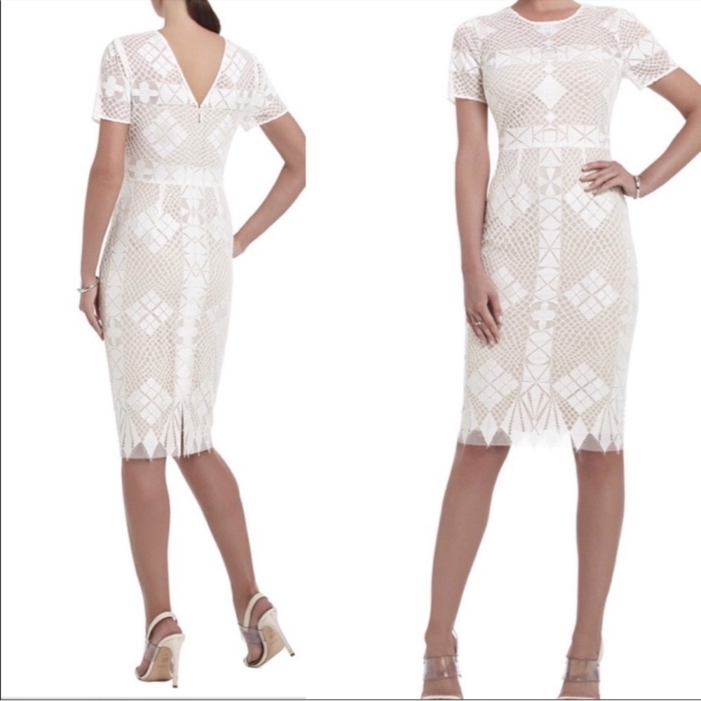 Bcbg Maxazira Samara Elegant Cream Lace Dress